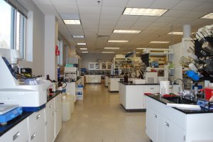 Cambridge Lab Space